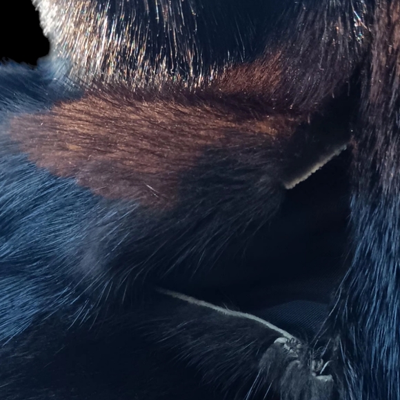 Full Length Mink Coat - Picture 2 of 9